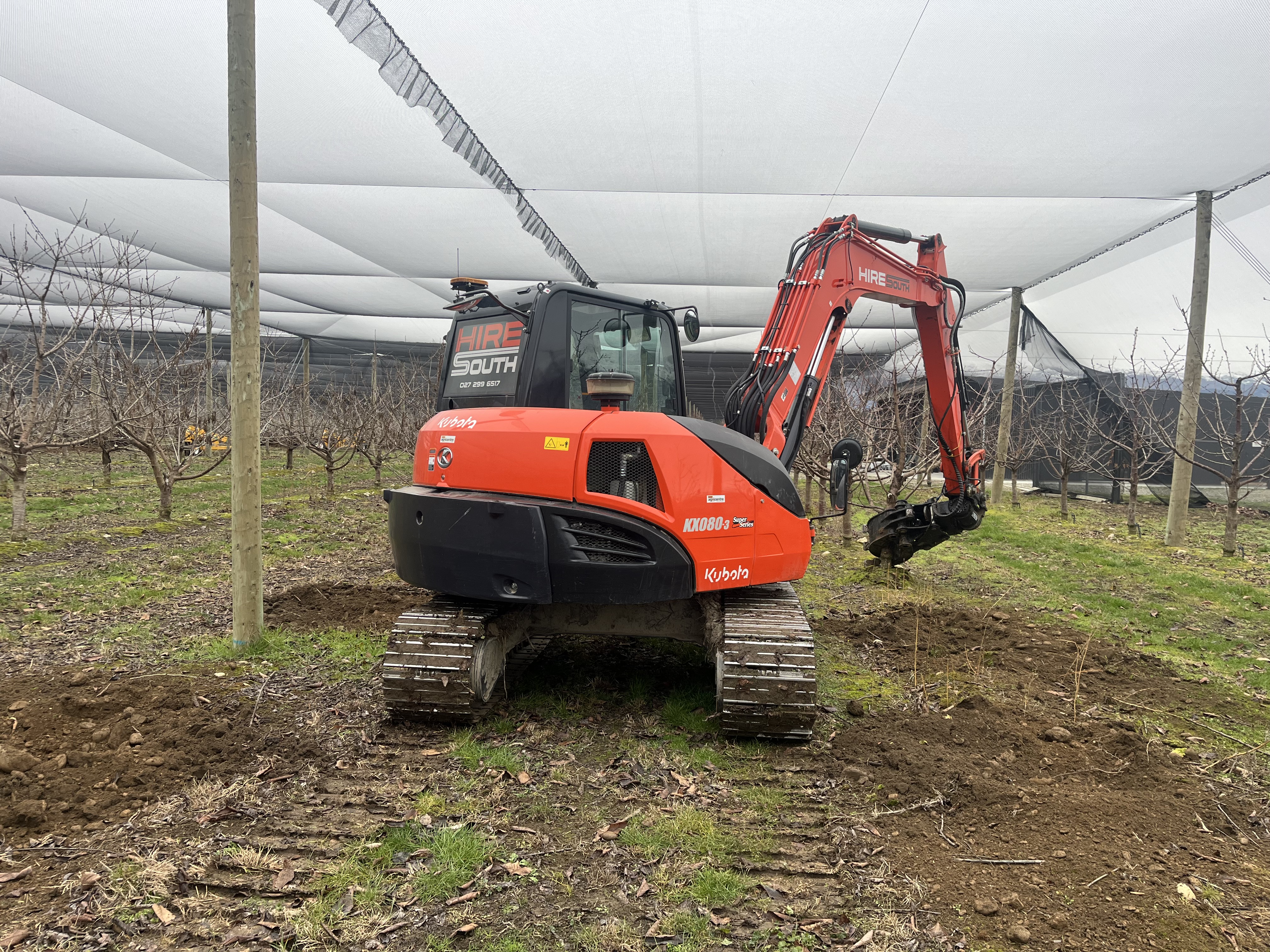 Hire South branded Kubota KX080-3 digger working under stonefruit orchard netting in Central Otago, rear view clearly showing Hire South livery